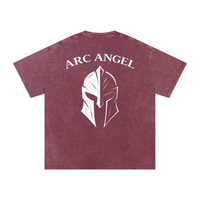 Arc Angel Oversized Washed Tee