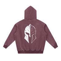Arc Angel Snow Wash Oversize Hoodie
