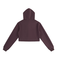 Arc Angel Cropped Zip-Up Hoodie