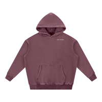 Arc Angel Snow Wash Oversize Hoodie